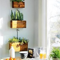 Tiroirs faits maison pour plantes d'intérieur