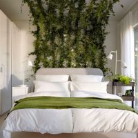 Vijokliniai augalai projektuojant miegamąjį kambarį