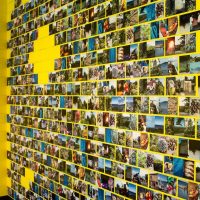 Muro giallo con fotografie a colori
