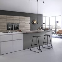 Design minimaliste de la cuisine et du salon
