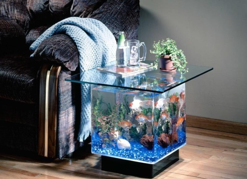 Petit aquarium sous la forme d'une table basse