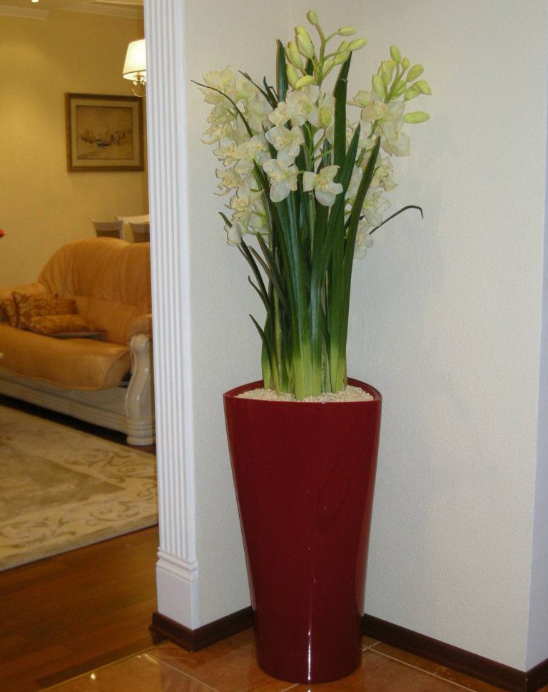Vase de sol à l'intérieur du salon