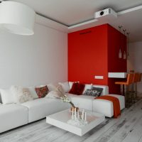 Mur rouge dans le salon d'une maison à panneaux