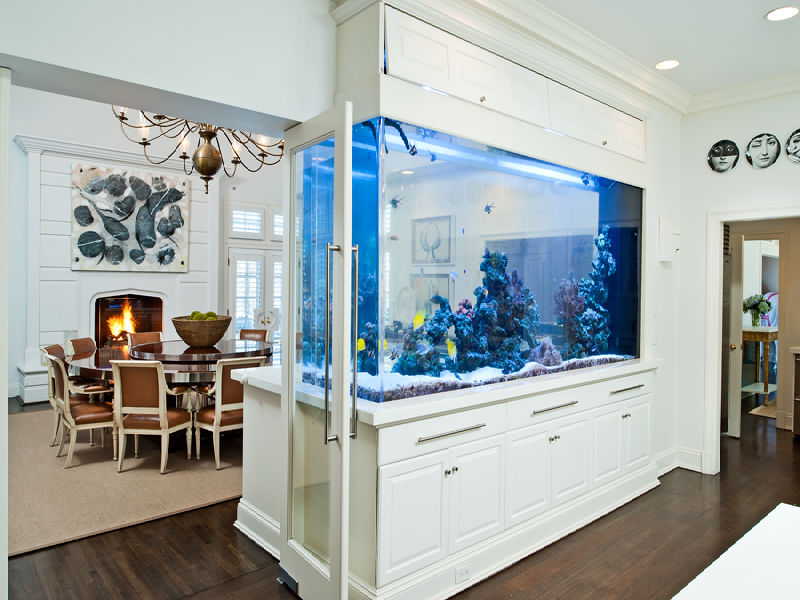 Zoning a kitchen-living room with an aquarium