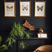 Trois papillons dans des peintures modulaires