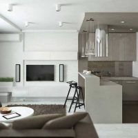 Intérieur cuisine et salon minimaliste gris et blanc