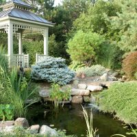 малко езерце в зоната за отдих на класическата градина