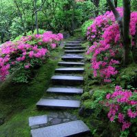 Dārza kāpnes no dabīgā akmens