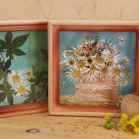 Photos de plantes séchées dans des cadres en bois
