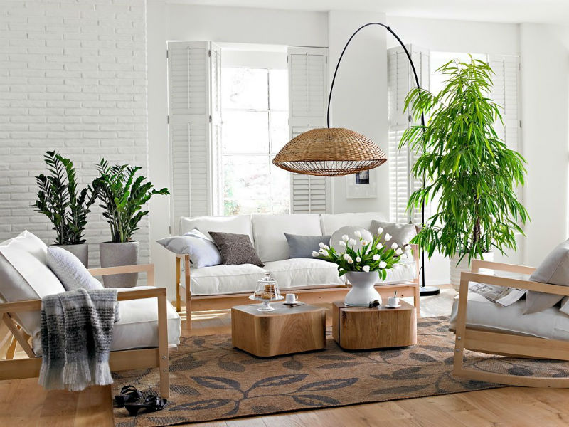 Salon blanc avec des plantes vertes