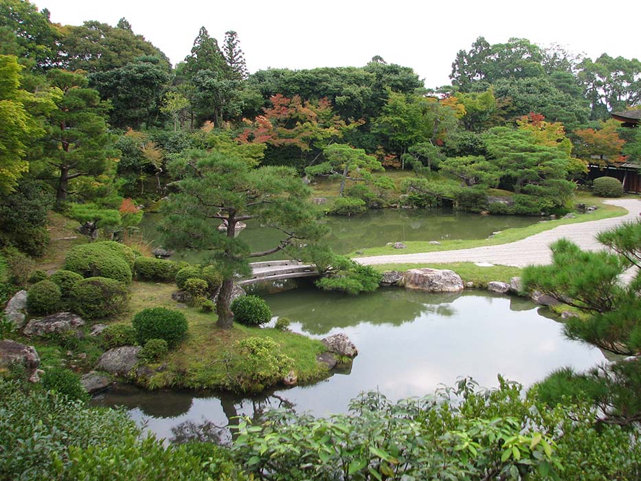 Landscape Garden Pond