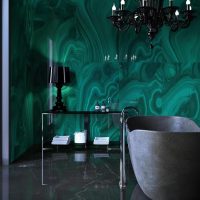 Vannas istabas dizains tumšās krāsās