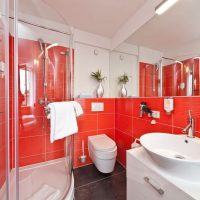Vonios kambario dizainas yra raudonos ir baltos spalvos