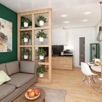 Partizione con piante d'appartamento come divisori di spazi