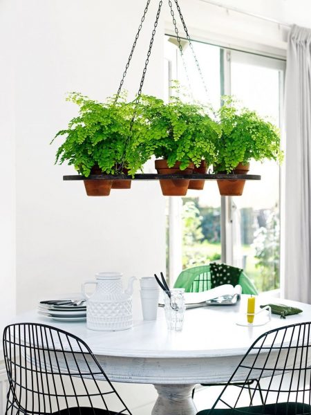 Hanging flowers fit harmoniously into the kitchen interior and occupy a minimum of space