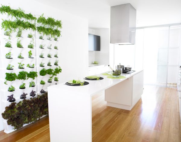 These plants really refresh the look of the kitchen and soothe you after a hard day.
