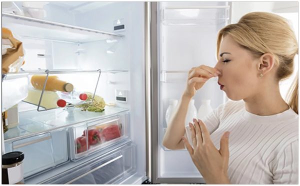 Si verificano odori sgradevoli a causa di fuoriuscite di prodotti liquidi, resti di cibo avariato.